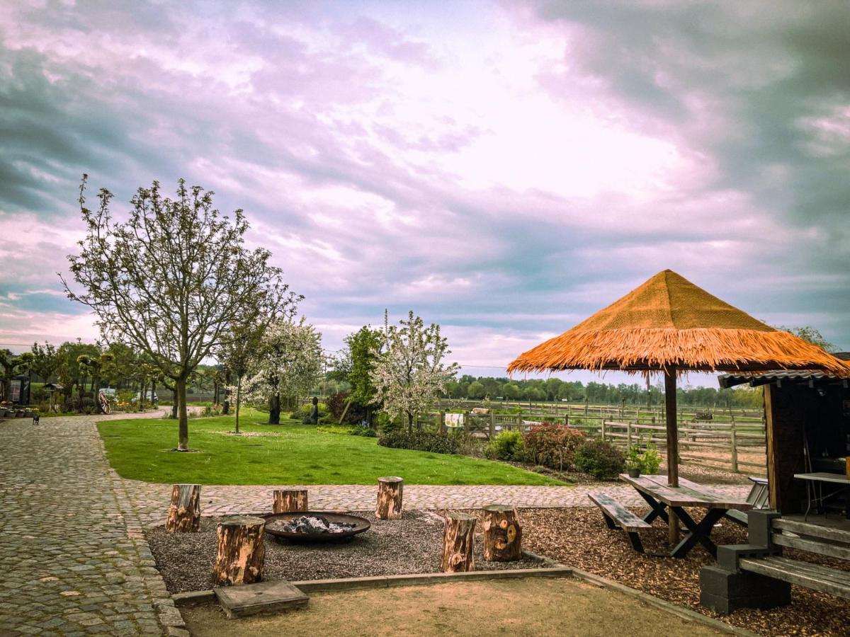De Worfthoeve Bed & Breakfast Geel Ngoại thất bức ảnh